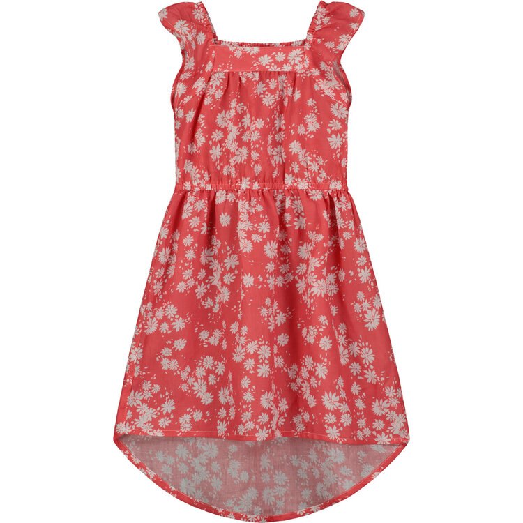 Vignette Robe Vignette Fille