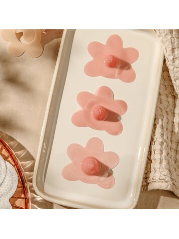 Le Lolo Le Lolo Nursing Nipple Shield Set