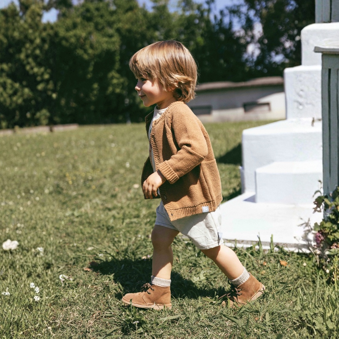 Collection régulière