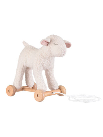 Egmont Toys Egmont Toys Mary Pull-Along