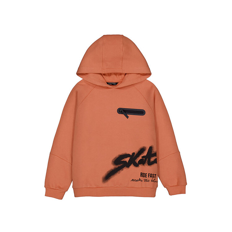 Mayoral Hoodie Mayoral Garçon