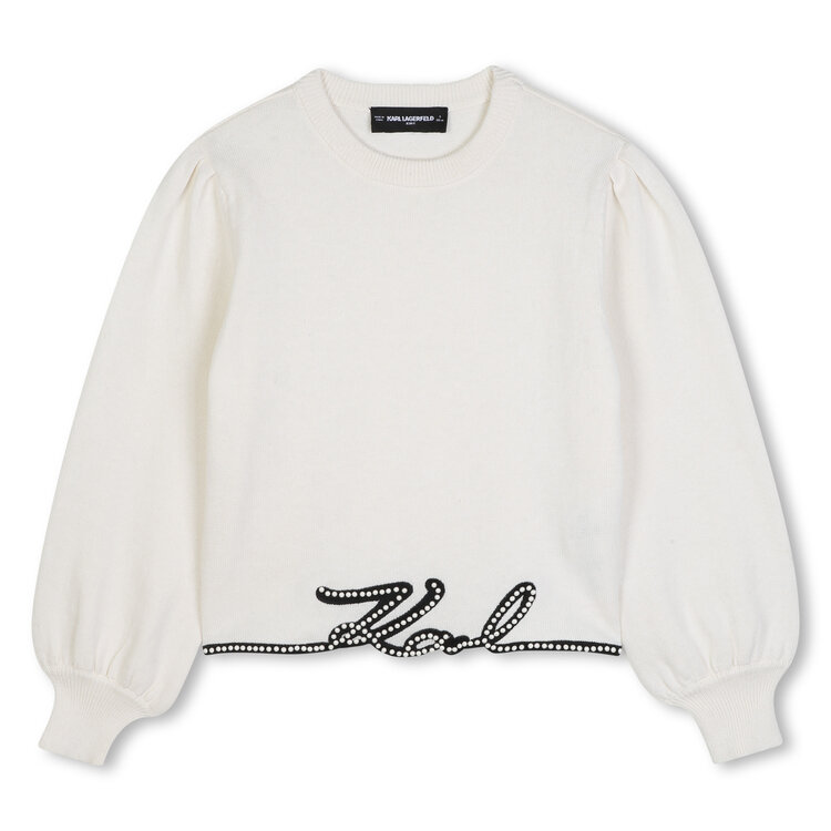 Karl Lagerfeld Kids Karl Lagerfeld Kids Girls Sweater