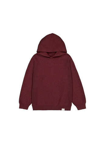Mayoral Hoodie Mayoral Garçon