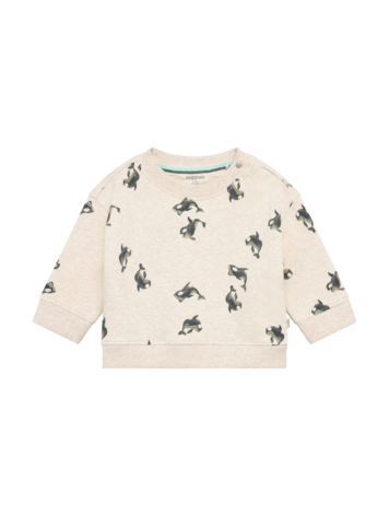 Noppies Baby Chandail Noppies Garçon