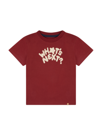 Minymo Minymo Boys T-shirt