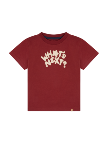 Minymo T-shirt Minymo Garçon