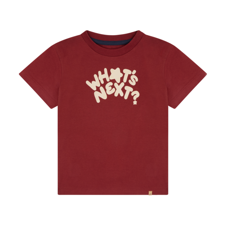 Minymo Minymo Boys T-shirt