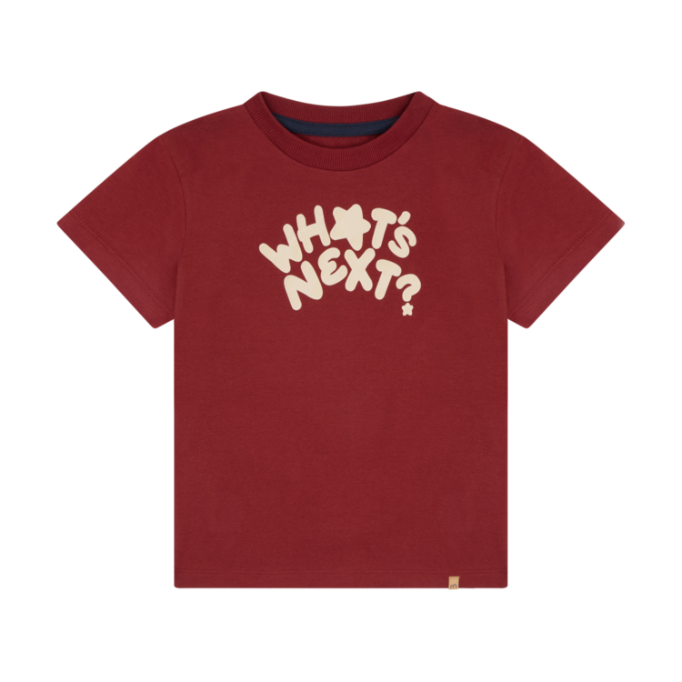 Minymo T-shirt Minymo Garçon