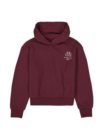 Hoodie Garcia Fille