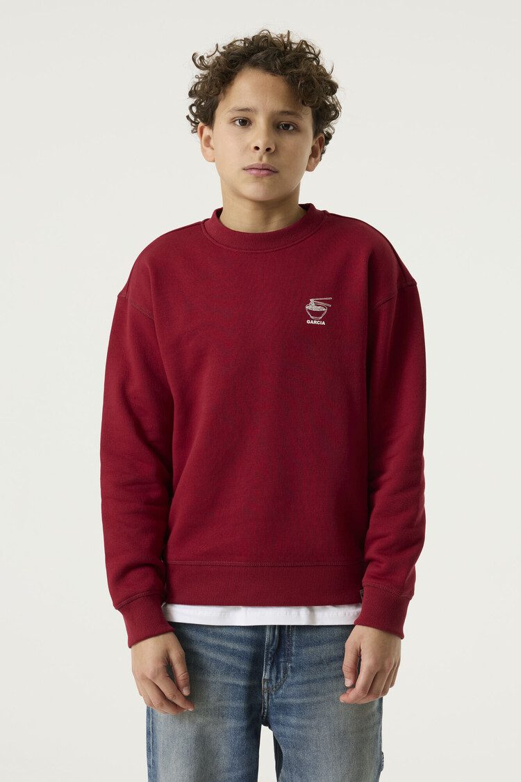 Garcia Boys Sweater