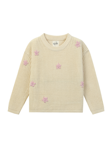 Vignette Pull Vignette Fille
