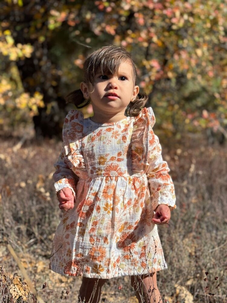 Vignette Vignette Girls Dress & Bloomer