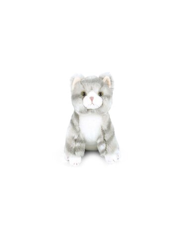 Mon Ami Cassie Kitty Mon Amie