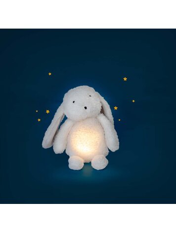 Moulin Roty Puce & Pilou- Lapin Lumineux Moulin Roty