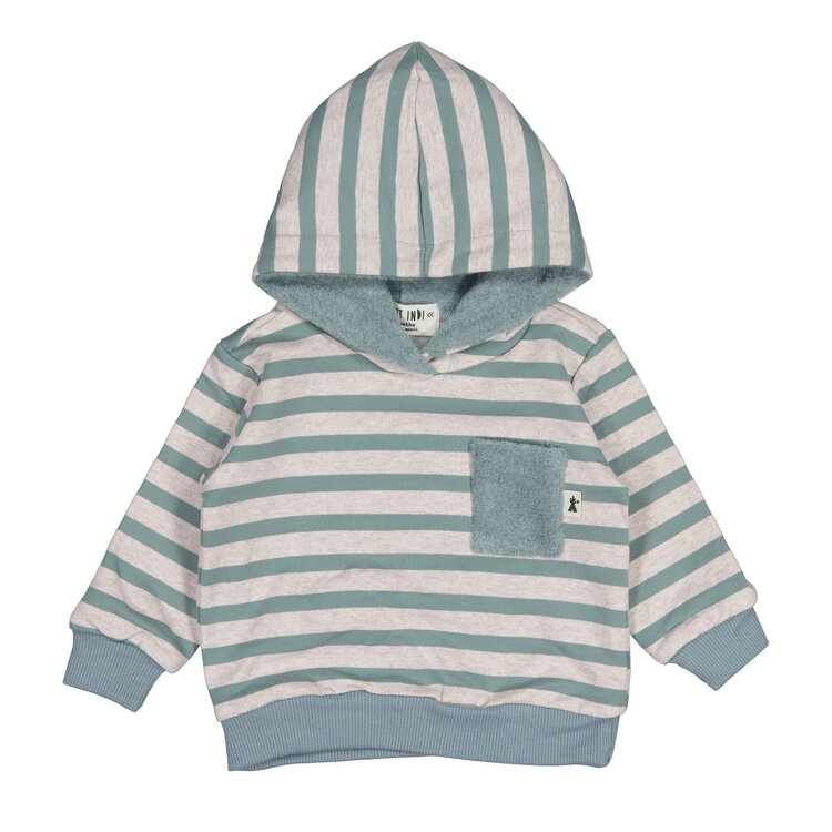 Petit Indi Hoodie Petit Indi Garçon