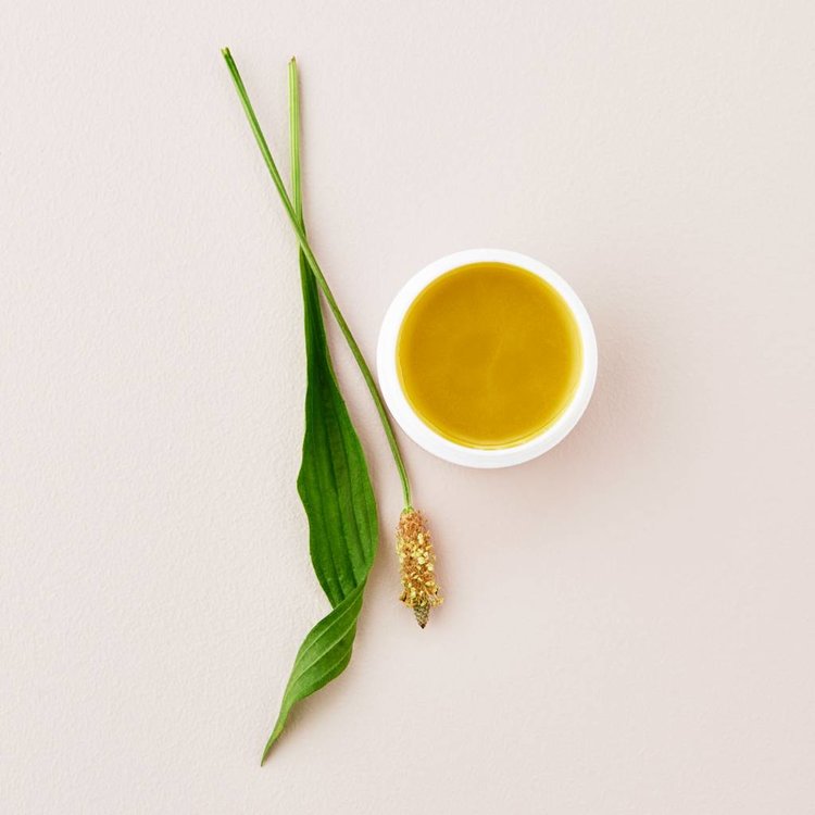 Substance CRÈME POUR MAMELON SUBSTANCE