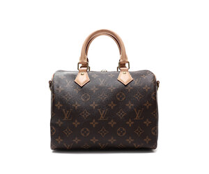 Louis Vuitton Speedy 25 Puffer Bag, Monogram Top Handle, New in Dustbag  WA001 - Julia Rose Boston