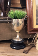 Mini Potted Grass 3.5"