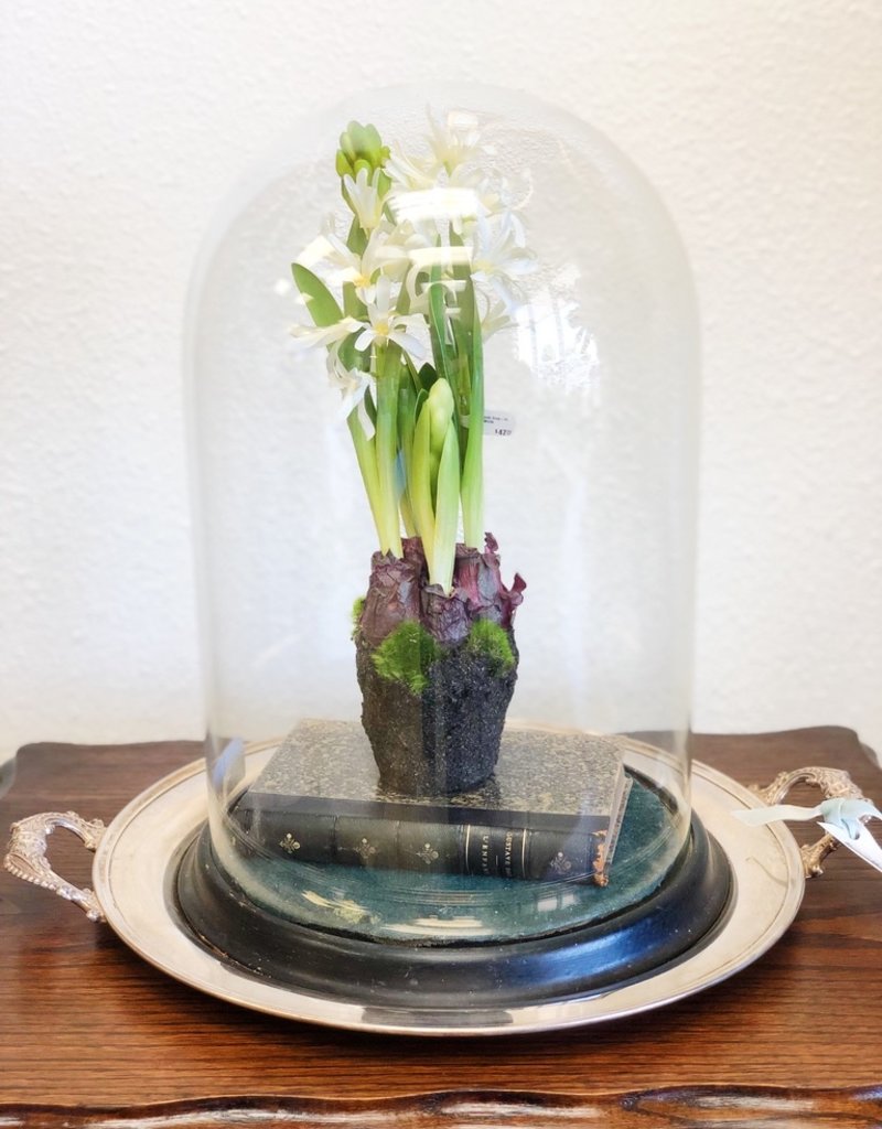 Napa Home Garden Hyacinth Drop-In 13" White