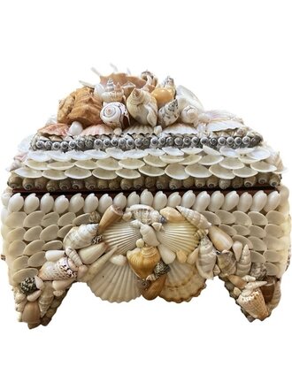 Large Natural & White Mixed Shell Footed Box