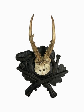 Vintage Roe Deer Mount