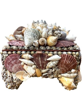Mixed Shell Footed Box