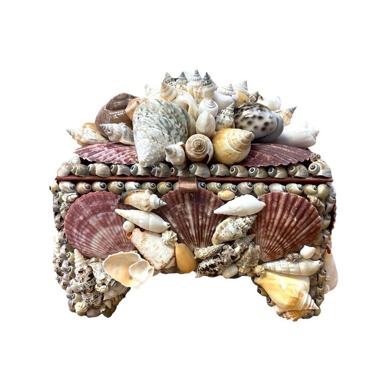 Mixed Shell Footed Box
