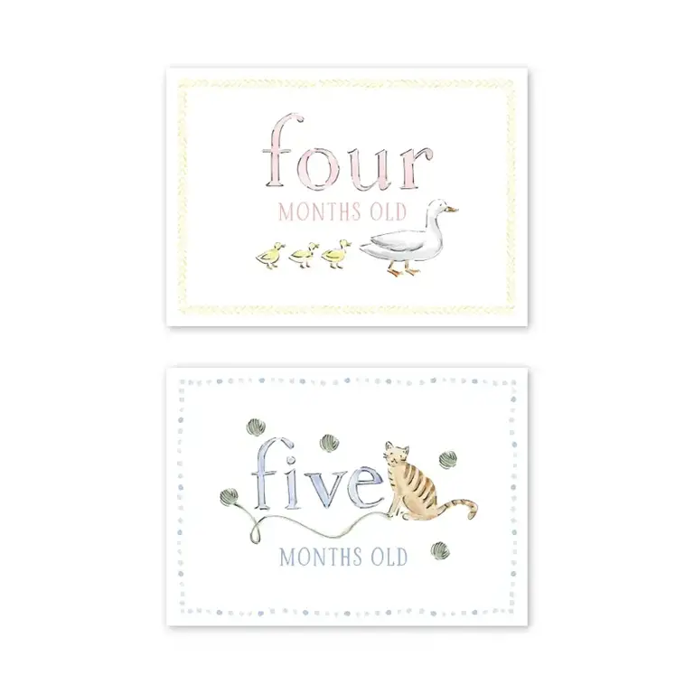 Zoo in the City Milestone Cards, Set of 15