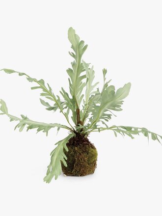 Rabbit Foot Drop-In, 9"