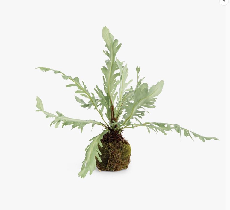 Rabbit Foot Drop-In, 9"