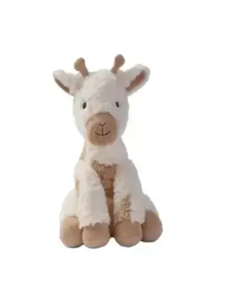 Lofty, Soft and Cuddly Baby Giraffe