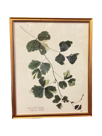 Variegated Kudzu in Gold Beaded Frame, 16x20