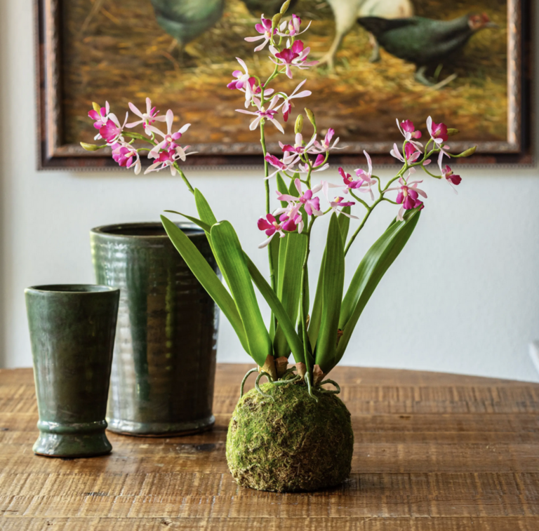 Porch View Home Mini Vanda Lavender Orchid in Large Moss Ball