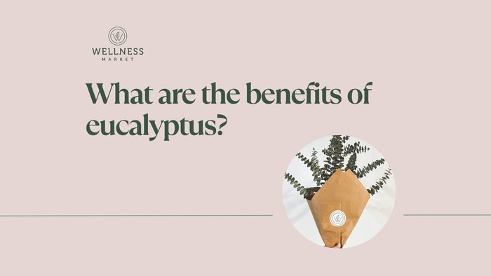 The Benefits of Eucalyptus