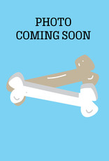 castor and pollux salmon dog food