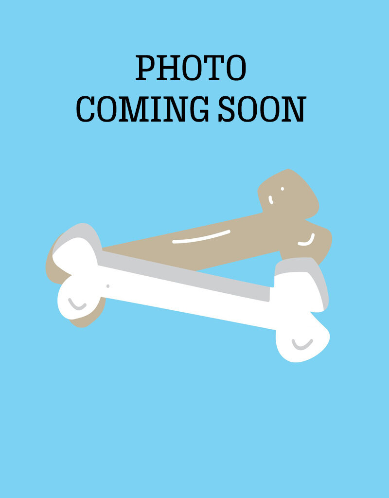 diamond naturals adult dog