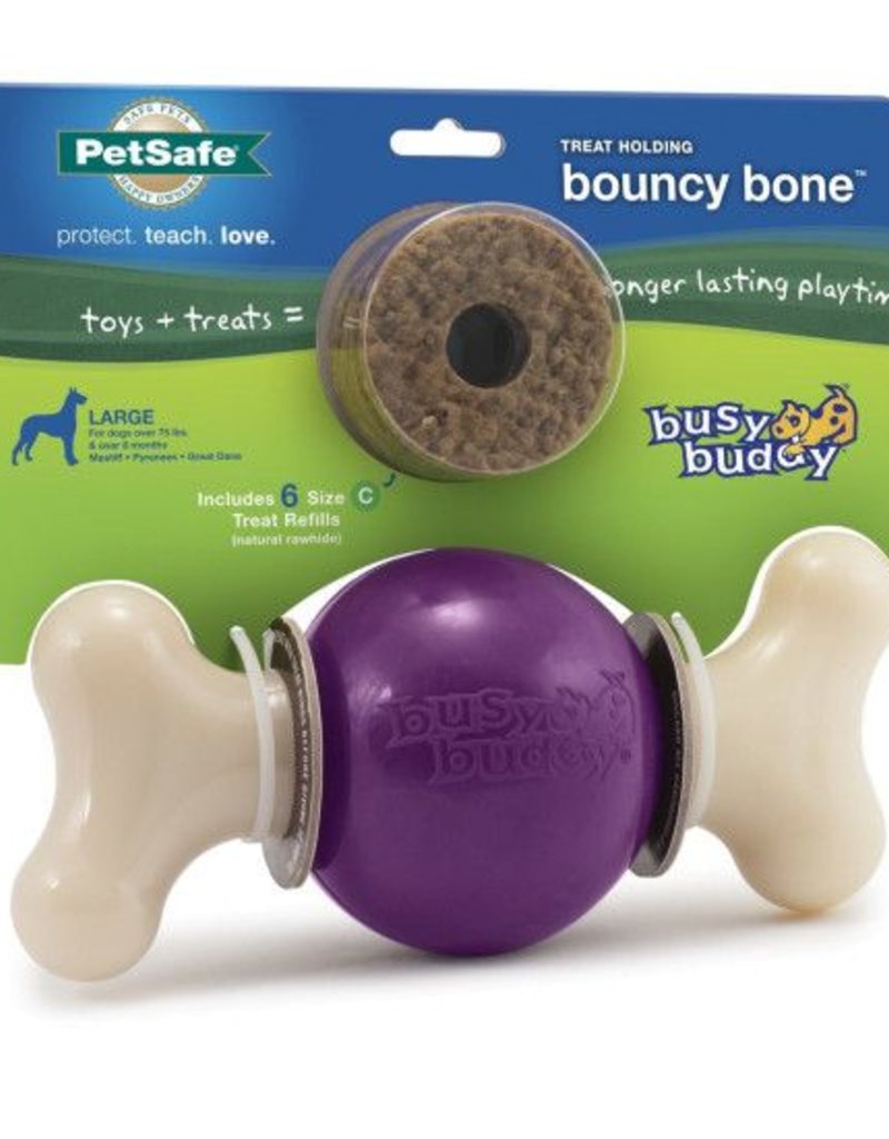PETSAFE Busy Buddy Bouncy Bone