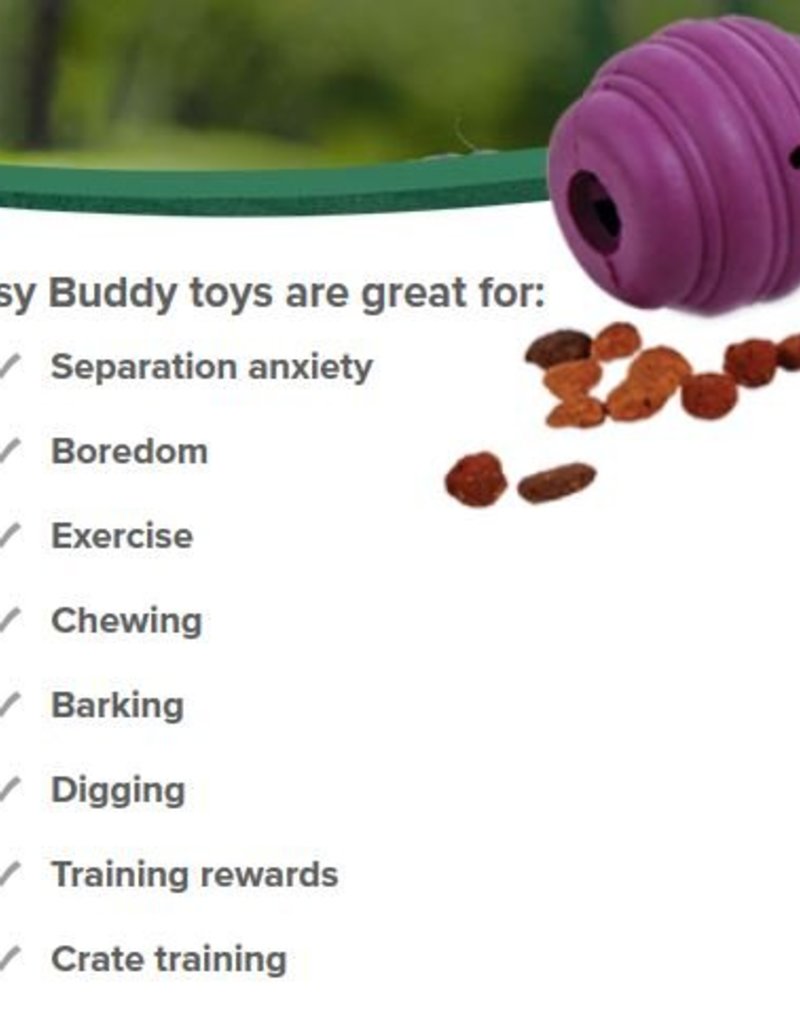 busy buddy jack dog toy