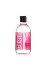 Soak Soak Fiber Wash 12oz Celebration