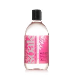 Soak Soak Fiber Wash 12oz Celebration