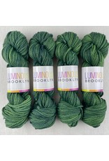 Luminous Brooklyn Greenwood - Lustrous Chunky - Luminous Brooklyn