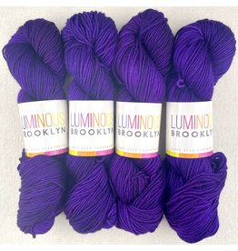 Luminous Brooklyn Washington Square - Dazzling DK - Luminous Brooklyn