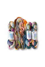 Hedgehog Fibres *Argyle Exclusive!* Coastline - Skinny Singles - Hedgehog