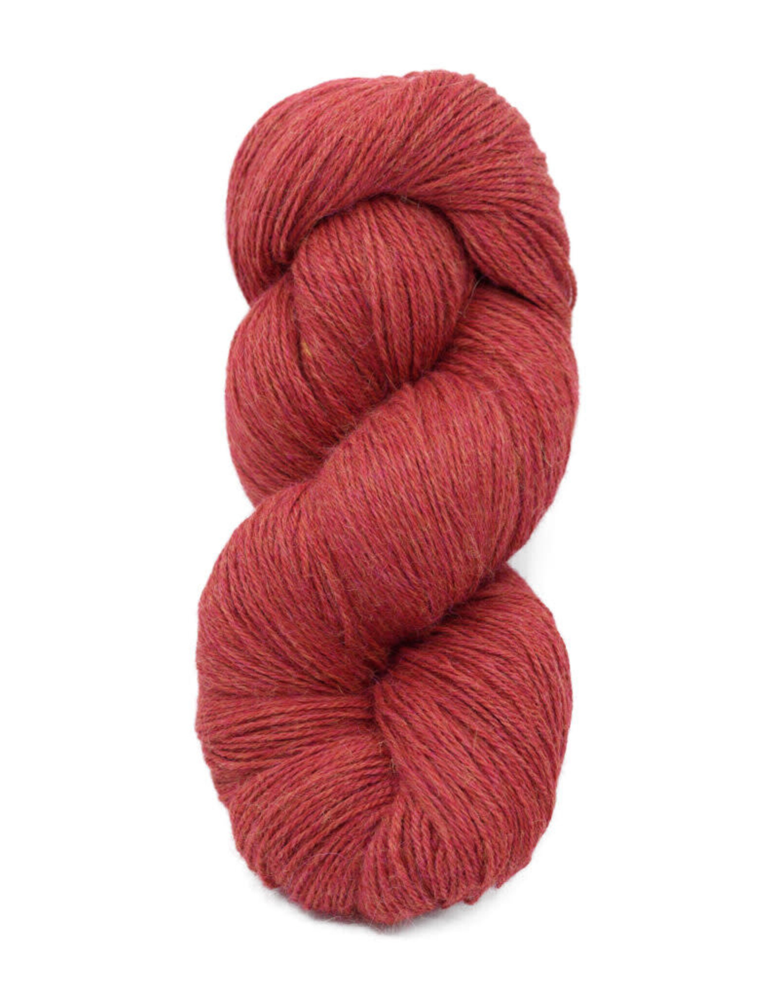 Galler Poppy - Prime Alpaca - Galler