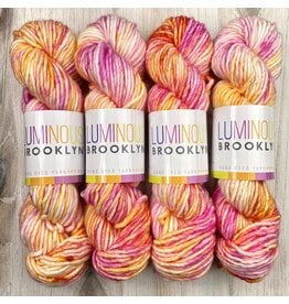 Luminous Brooklyn Forty Winks - Stellar - Luminous Brooklyn - Argyle Yarn  Shop