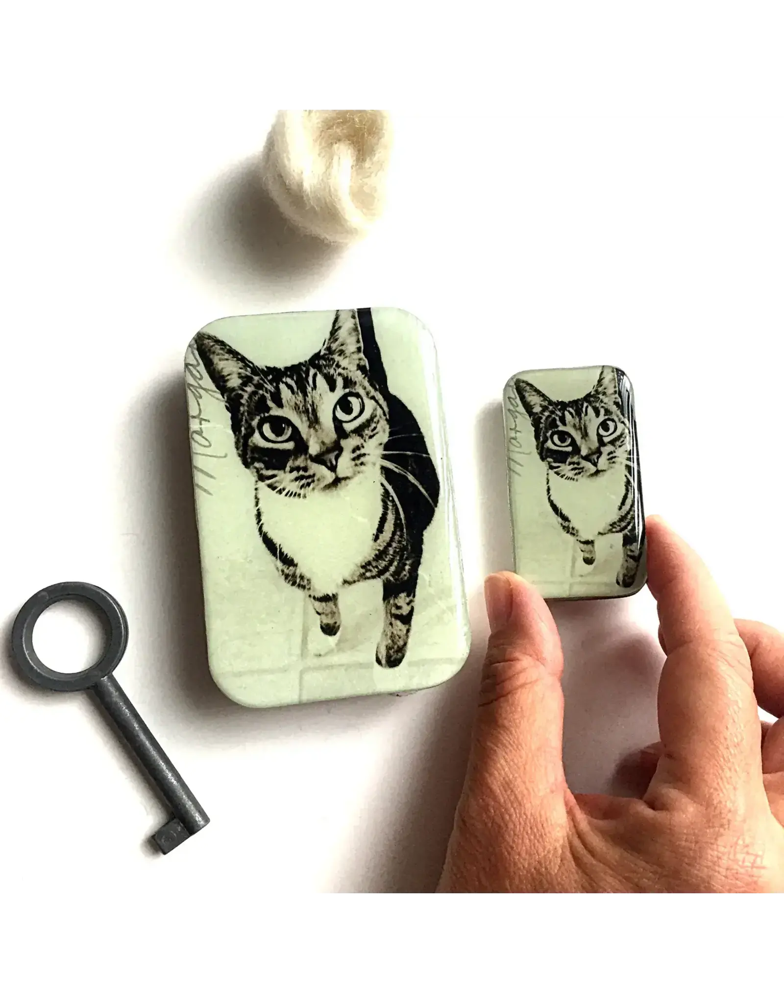 Firefly Notes Cat notions tin - Large - Firefly Notes Tins