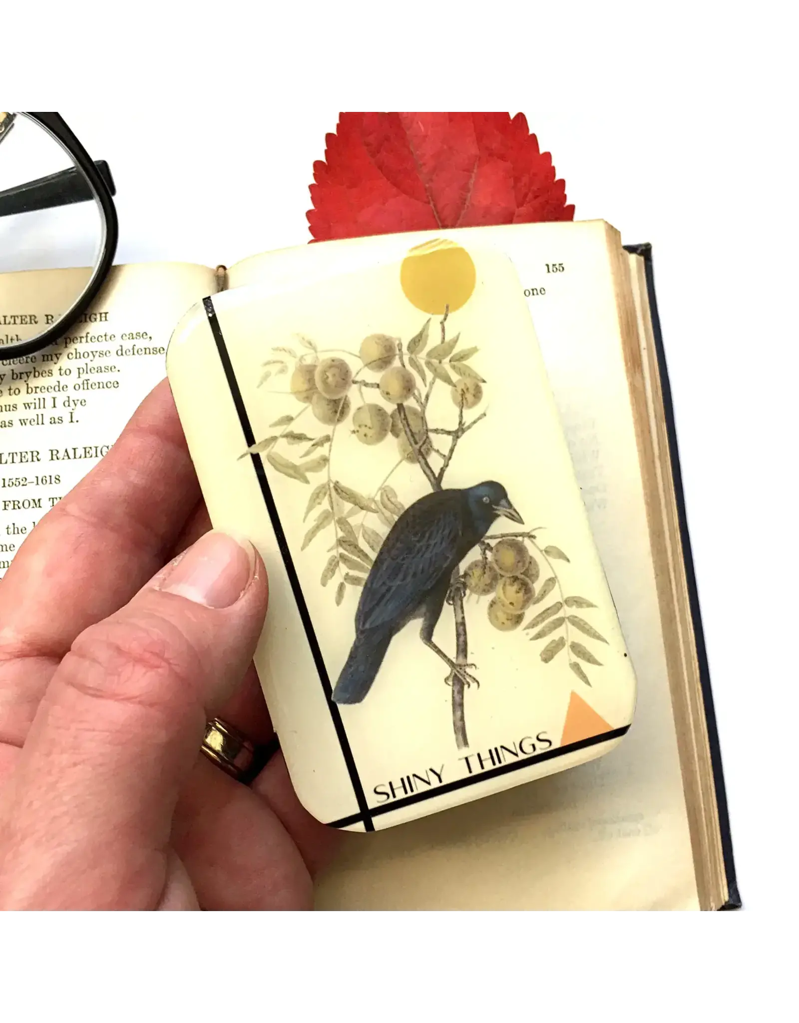 Firefly Notes Shiny Things Crow notions tin - Large - Firefly Notes Tins