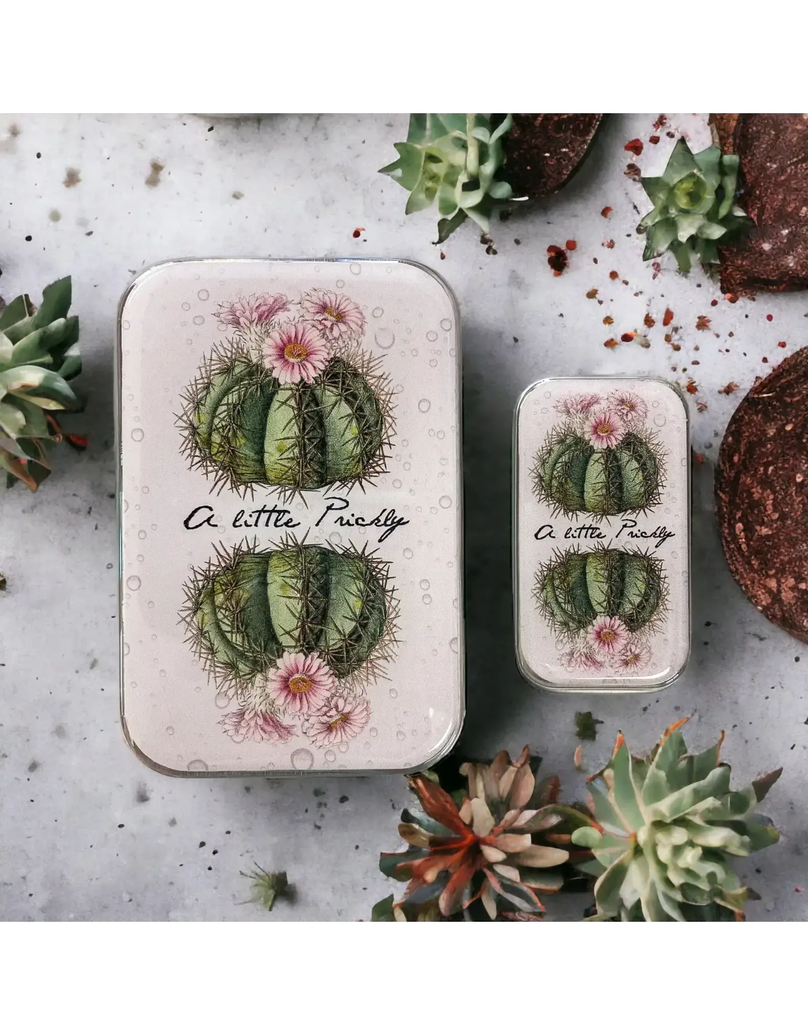 Firefly Notes A Little Prickly / Cactus notions tin - Small - Firefly Notes