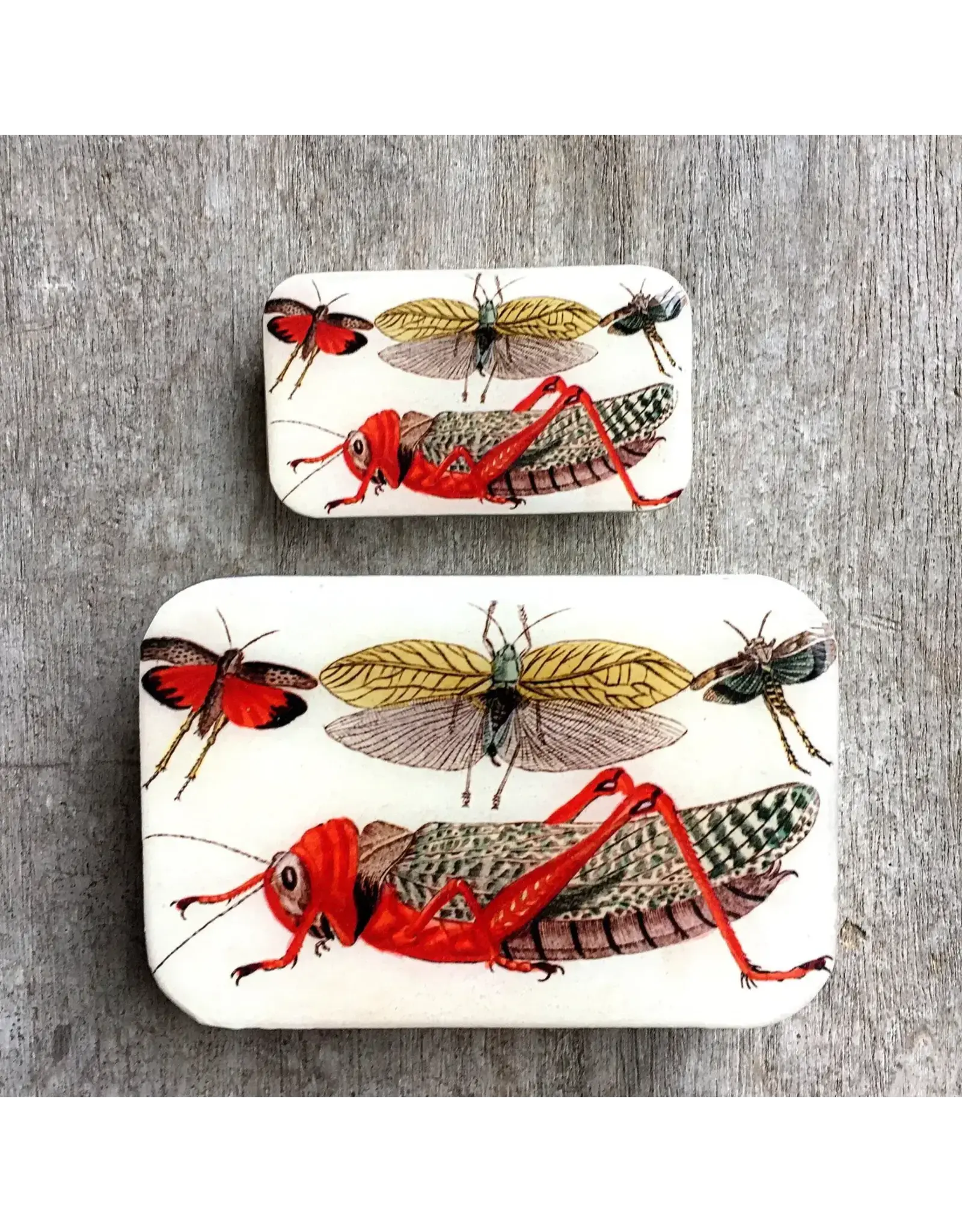 Firefly Notes Cricket notions tin - Small - Firefly Notes Tins
