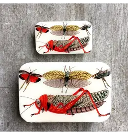 Firefly Notes Cricket notions tin - Small - Firefly Notes Tins